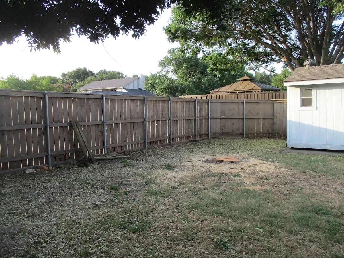 Cleared yard after professional tree removal in Hinckley