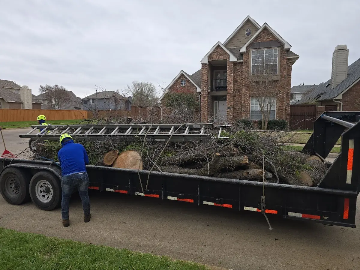 Expert Tree Removal with proper safety equipment in Hinckley
